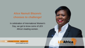IWD poster image 6